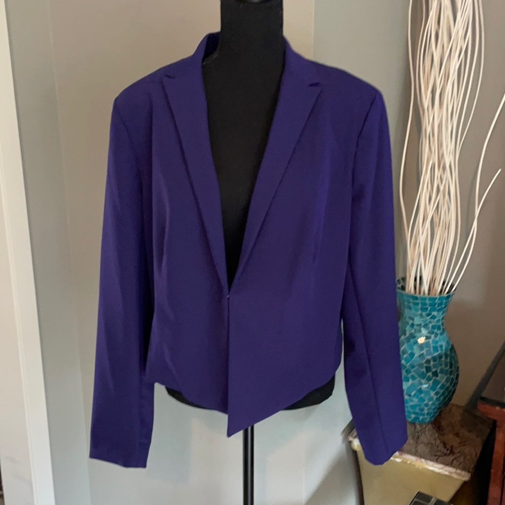 Kenneth Cole Collection Purple Blazer